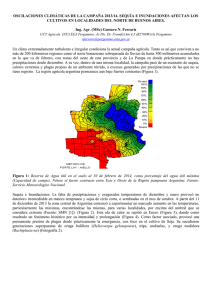 OSCILACIONES CLIMÁTICAS DE LA CAMPAÑA 2013/14. SEQUÍA E INUNDACIONES AFECTAN... CULTIVOS EN LOCALIDADES DEL NORTE DE BUENOS AIRES.