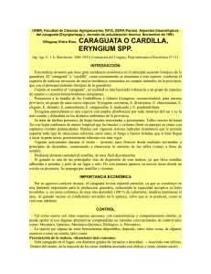 caraguata marchesini INTA.pdf