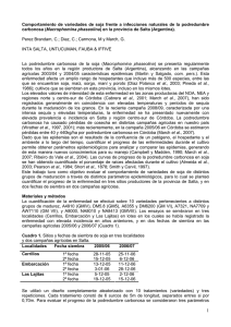 VARIEDADES macrophomina INTA EEAA.pdf