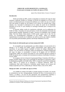 Sorgo de Alepo RG Olea-Sabate.pdf