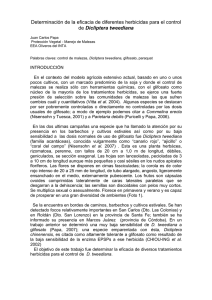 Control de Dicliptera tweediana.pdf