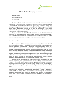 Manejo de bicho bolita.pdf
