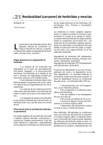 Residualidad - Biotest - N. Rodriguez.pdf