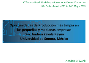 Oportunidades de Producción más Limpia en  las pequeñas y medianas empresas  Dra. Andrea Zavala Reyna Dra. Andrea Zavala Reyna