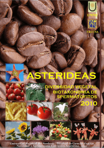 - 9 Asterides