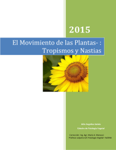 Guía de estudio: Movimiento de las plantas