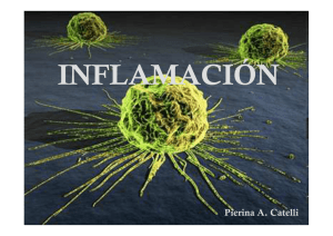Clase 1-09-09 Inflamacion