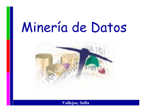Minería de Datos (Data Mining)
