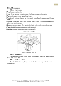 7 Primulaceae