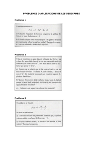 PRACTICA_PROBLEMES_D_OPTIMITZACIO.pdf