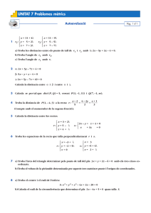 Autoavaluacio_tema_7._Problemes_metrics.pdf