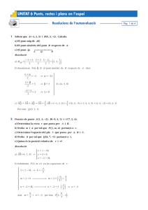 Solucions_autoavaluacio_tema_6.pdf