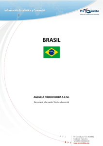 Informe Intercambio Comercial con Brasil