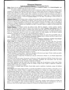 Mundo de Tinieblas - Númenes Psíquicos.pdf (0 kbytes)