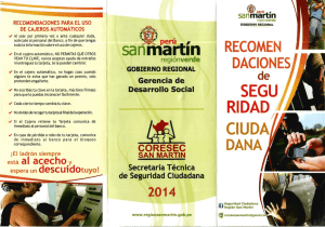 Recomendaciones de Seguridad Ciudadana - CORESEC San Martín (2014-09-03)