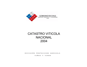 Catastro Vitícola Nacional 2004