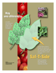 Hoja de Seguridad Saf-T-Side