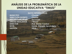 ANÁLISIS DE LA PROBLEMÁTICA DE LA UNIDAD EDUCATIVA “TIMUSI”