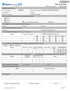 HOJA DE TRAMITE TRIPLE S