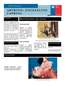 Artritis-encefalitis caprina