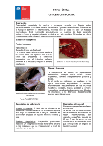 Cisticercosis porcina