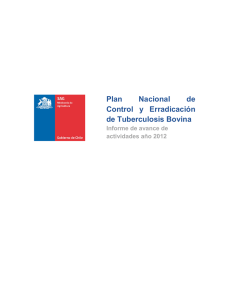 Plan Nacional de Control y Erradicación de Tuberculosis Bovina. Informe de avance de actividades, año 2012