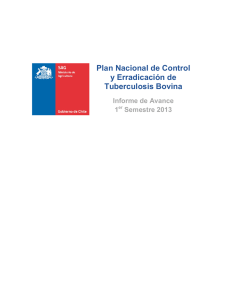 Plan Nacional de Control y Erradicación de Tuberculosis Bovina. Informe de avance, I semestre 2013