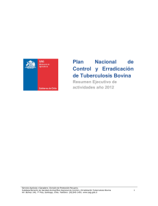 Plan Nacional de Control y Erradicación de Tuberculosis Bovina. Resumen ejecutivo de actividades, año 2012