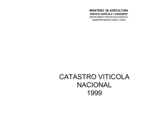 Catastro vitícola nacional 1999