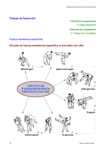 Resistencia a la fuerza espeífica al aire libre con uke