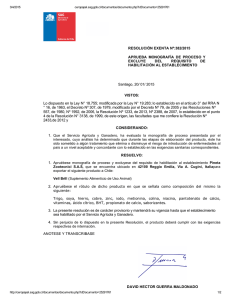 RESOLUCIÓN EXENTA Nº:382/2015 APRUEBA  MONOGRAFÍA  DE  PROCESO  Y EXCLUYE  DEL 