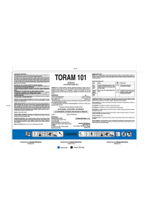 Toram 101