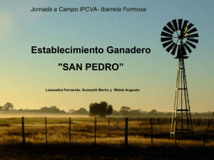 Establecimiento Ganadero &#34;SAN PEDRO”  Jornada a Campo IPCVA- Ibarreta Formosa
