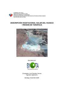 Estudio descripción vegetacional del Salar del Huasco, Región de Tarapacá