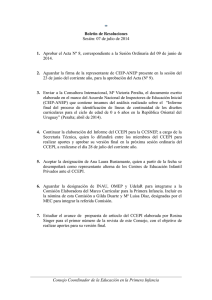 resoluciones__10_sesion_del_ccepi_ordinaria_07.07.14