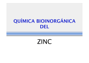 4. Quimica bioinorganica del Zn