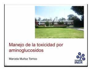 Manejo de la toxicidad por aminoglucosidos (Marcela Muñoz Torrico)