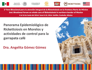 Panorama Epidemiológico de Rickettsiosis en Morelos y actividades de control para la