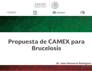 Propuesta CAMEX Brucelosis.