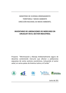 Inventario Emisiones Mercurio-Industria-Uruguay
