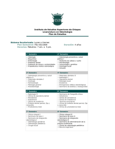 Plan de Estudios (.pdf 82 kb)