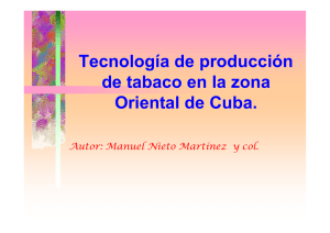 Tecnología de producción de tabaco en la zona Oriental de Cuba. Autor: