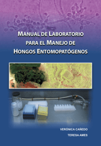 Hongos_entompatogenos_producci_n_a_nivel_de_laboratorio_.pdf