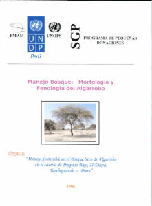 mm Perú Manejo Bosque: Morfología