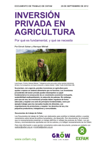 Inversión privada en agricultura: Por qué es fundamental, y qué se necesita