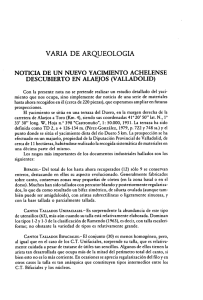 BSAA-1987-53-NoticiaUnNuevoYacimientoAchelenseDescubiertoAlaejos.pdf