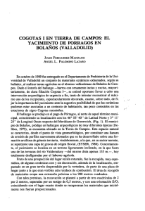 BSAA-1991-57-CogotasITierraCampos.pdf