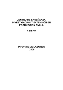 Informe de Labores 2008