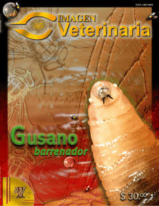 Imagen Veterinaria Vol 3. A o.3 No. 1