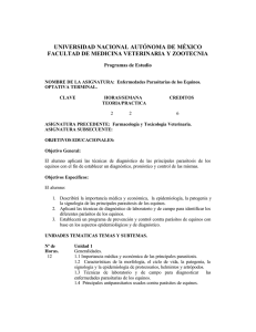 Enfermedades Parasitarias del Equino.pdf